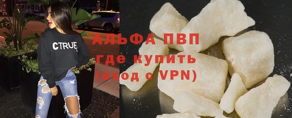 крисы Баксан
