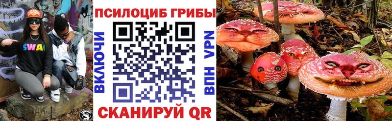 купить закладку  KRAKEN вход  Галлюциногенные грибы GOLDEN TEACHER  Кяхта 